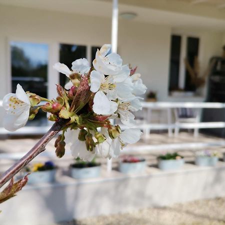 Fuszerkert Vendeghaz Villa Zamárdi Exterior foto